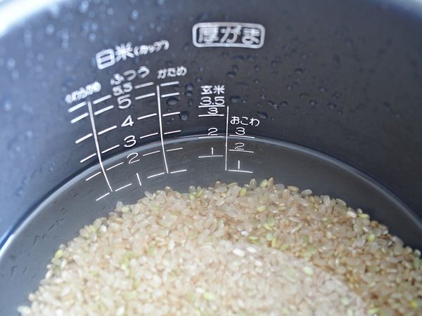 糙米飯3_調整大小.JPG