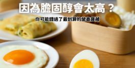 不敢吃蛋黃，因為膽固醇會太高？